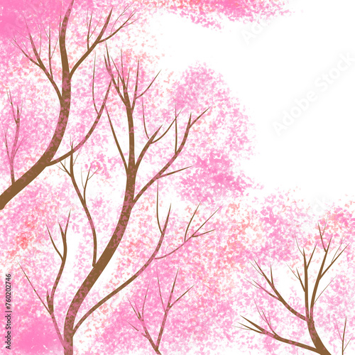 Winter cherry blossom painting,pink cherry blossom. © supa.th