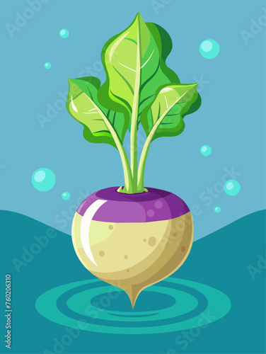 Freshly harvested turnips rest in a crystal-clear pool of water, their smooth skin and vibrant greens reflecting the light.