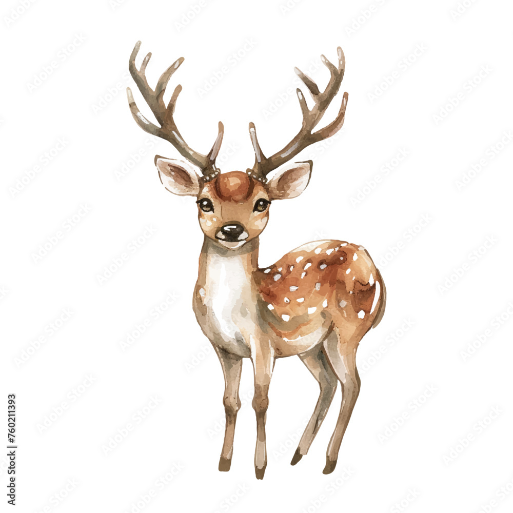 cute deer vector illustration in watercolour style