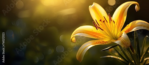 Radiant Sparkling Yellow Flower Illuminated by a Soft Blur of Light