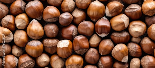 A Close-Up of Fresh Hazelnuts Arranged in a Pattern Creating a Beautiful Background