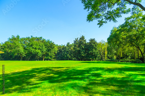 Fototapeta Naklejka Na Ścianę i Meble -  Serene Park Landscape with Lush Green Trees