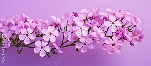 Elegant Purple Blooms in a Delicate Vase on a Lavender Background