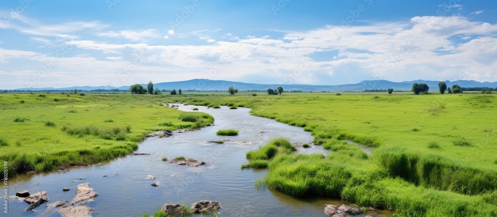 Tranquil River Flowing Through Vibrant Verdant Meadow in a Serene Natural Setting Tranquil River Flowing Through Vibrant Verdant Meadow in a Serene Natural Setting