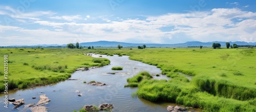 Tranquil River Flowing Through Vibrant Verdant Meadow in a Serene Natural Setting