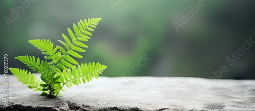Resilient green sprout pushing through solid rock in a symbolic display of growth and perseverance