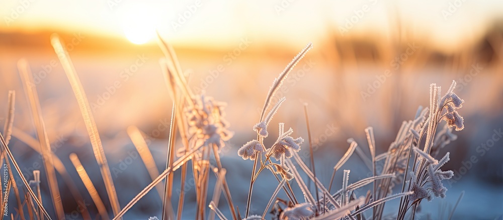 Vivid Field of Green Grass in the Countryside under a Clear Blue Sky Vivid Field of Green Grass in the Countryside under a Clear Blue Sky