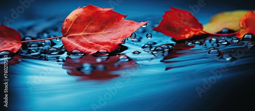 Vibrant Red Leaf Drifts on Tranquil Water with Dark Backdrop, Symbol of Autumns Beauty