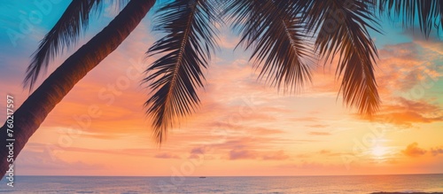 Serene Tropical Beach Setting with Palm Trees at Sunset, Relaxing Vacation Background