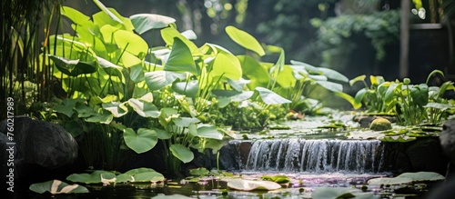 Tranquil Small Pond Serenity with Cascading Waterfall and Blooming Lily Pads