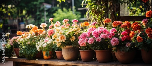 Vibrant Floral Arrangement Displayed on a Rustic Wooden Table Outdoors