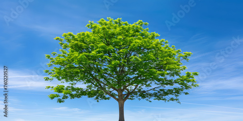   rvore Verde com Folhas Vibrantes