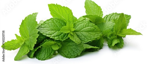 Fresh Mint Leaves Background for Culinary, Herbal, and Health Concepts