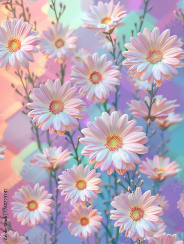 White daisy flowers  flat lay  warm colors  rainbow background