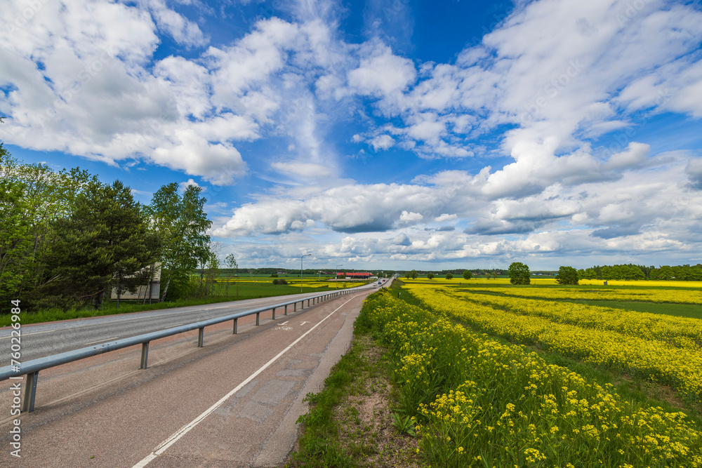 Beautiful view of the highway alongside rapeseed fields against the backdrop of the blue sky with white clouds. Sweden.