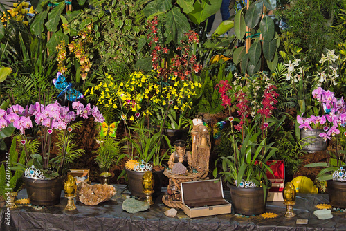 Fototapeta Naklejka Na Ścianę i Meble -  Orchids in Santa Barbara, California