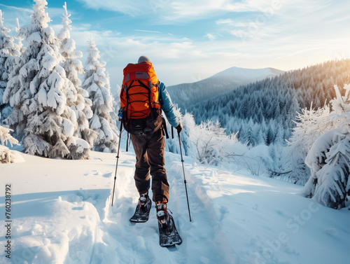 Winter Adventure: Hiker Trekking in Snowy Forest Landscape