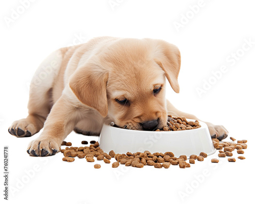 puppy eating food in bowl on white transparent background