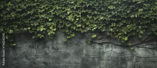 A terrestrial plant, like a tree or grass, is thriving on a concrete wall thanks to water. This unique natural landscape blends plant life with manmade flooring