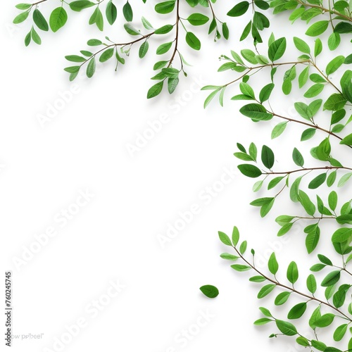 green leaves background