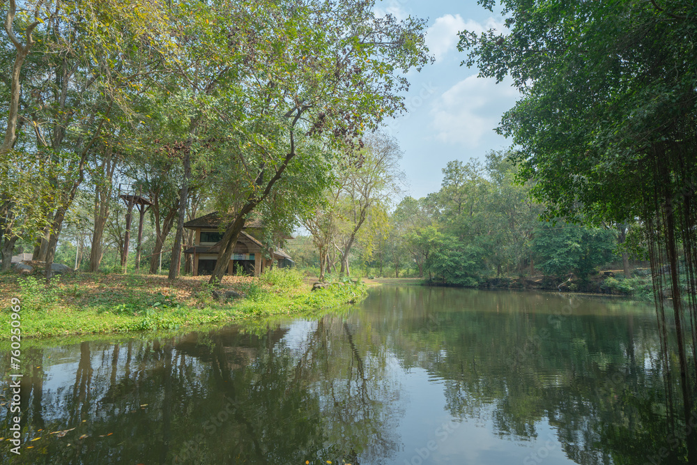 Tree in plantation with lake or river. Way through garden park in summer season. Nature landscape background. Tree in plantation with lake or river. Way through garden park in summer season. Nature landscape background.