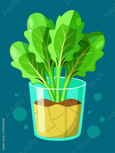 mustard greens vegetable water background