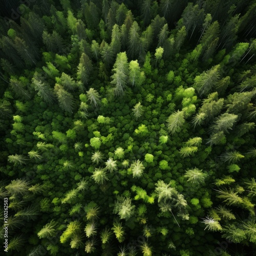 Aerial View Of Dense Forest Canopy With Lush Green Trees  Breathtaking Scenery  Lush Foliage  Dense Canopy  Aerial Perspective  Vibrant Greenery