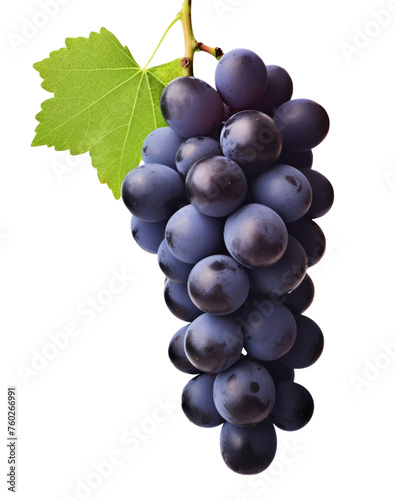 Dark blue grape with leaves isolated on white background. With clipping path. Full depth of field. photo