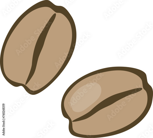 Brazilian coffee beans illustration
