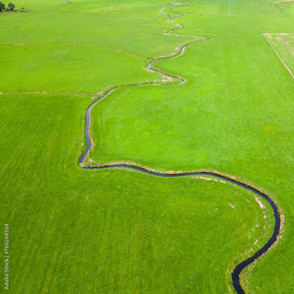 Fototapeta premium green grass field