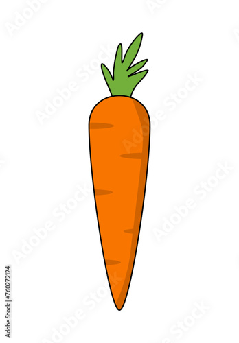 Vector illustration of an orange carrot.