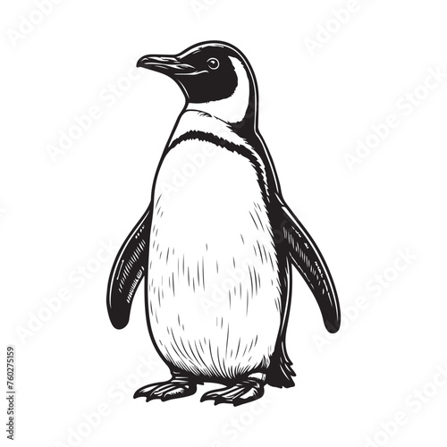 Line art of penguin vector
