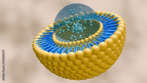 3d animation of nanomedicine inside of liposome lipid bilayer photo