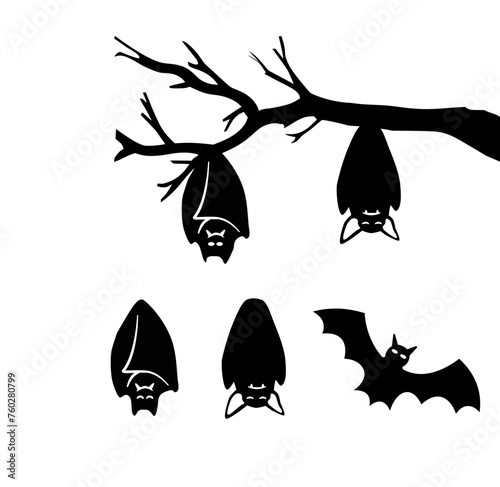 Fledermaus 