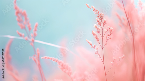 background image  concept  pastel color © nop