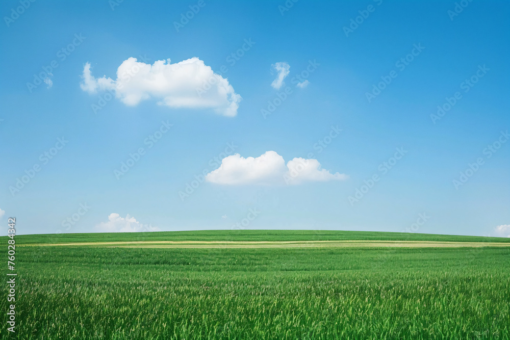 a green field with a blue sky and some clouds