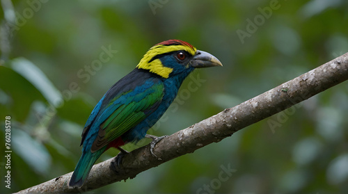Malaysia Borneo bird. generative.ai © ARSHAD