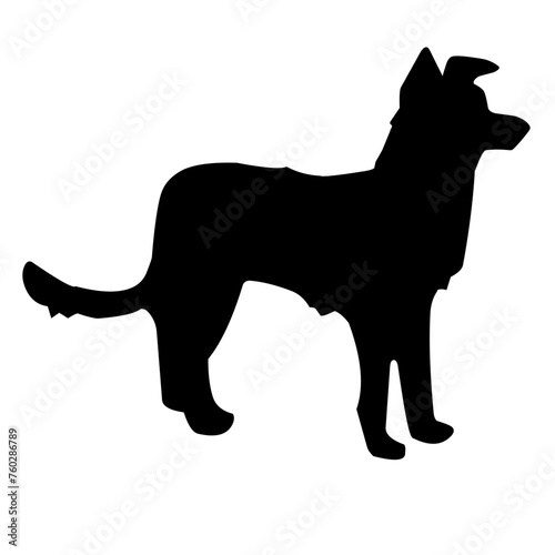 dog pet silhouette