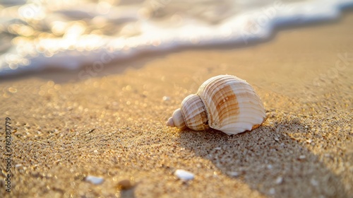Photos of beautiful tropical beach with conch shell sea on the sand, peaceful and relaxing atmosphere
