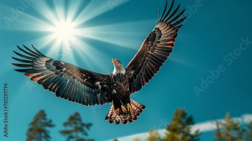 Eagle as a pilot, soaring high, sunlight, clear blue sky, wide lens, high contrastlow texture
