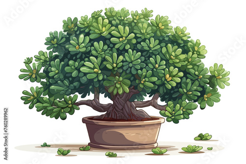 Crassula Ovata commonly Known As Jade Plant Lucky Plant vector illustration. Generative AI