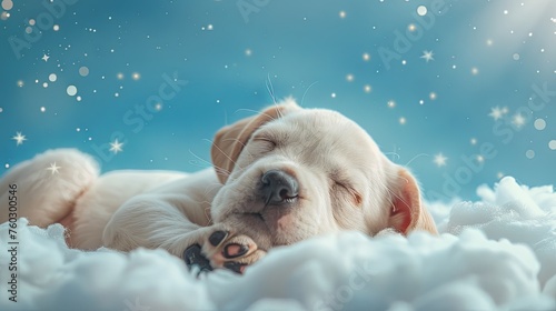 A serene image of a sleeping puppy nestled among fluffy clouds, with a twinkling starry sky in the background. photo