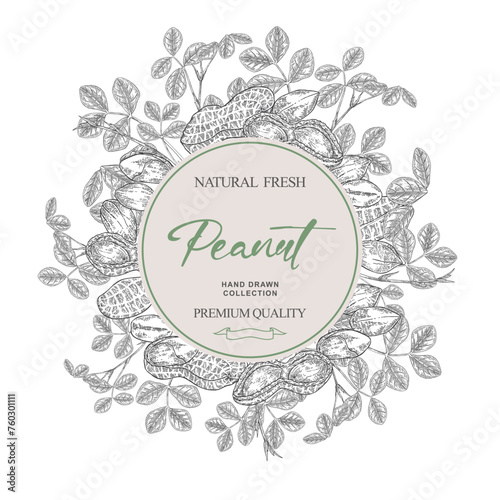 Round label with Peanuts. Hand drawn Peanut palnt. Vector illustration.