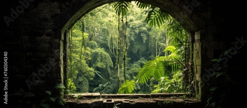 A Window Overlooking Lush Green Jungle Foliage and Diverse Wildlife Species