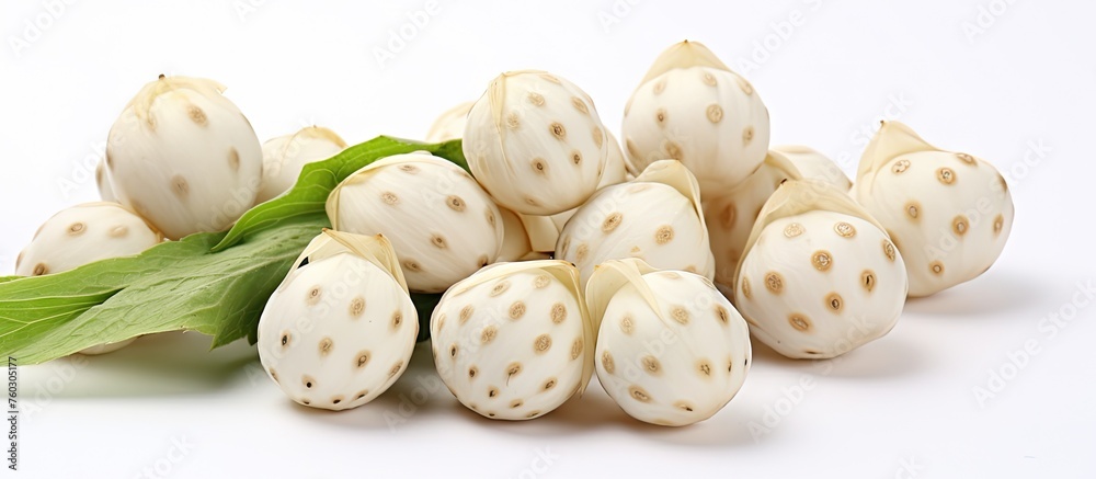 Aromatic Fresh Basil Leaves Surrounding a Pile of White Garlic Cloves