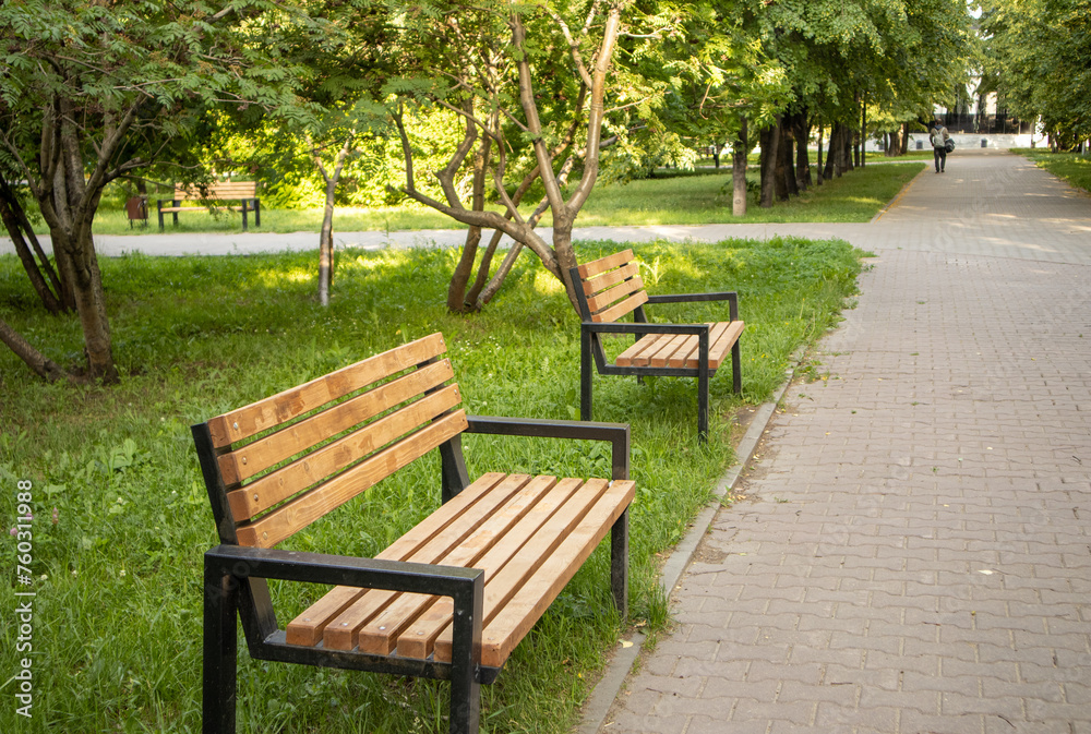 Two new wooden benches stand along the alley in the summer city park