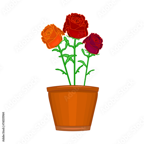 Flowers in pot on white background. Terracotta flowerpot with roses. Houseplant in clay vase for interior decor of home, windowsill, garden or office. Potted plant spring seasonal. Vector illustration