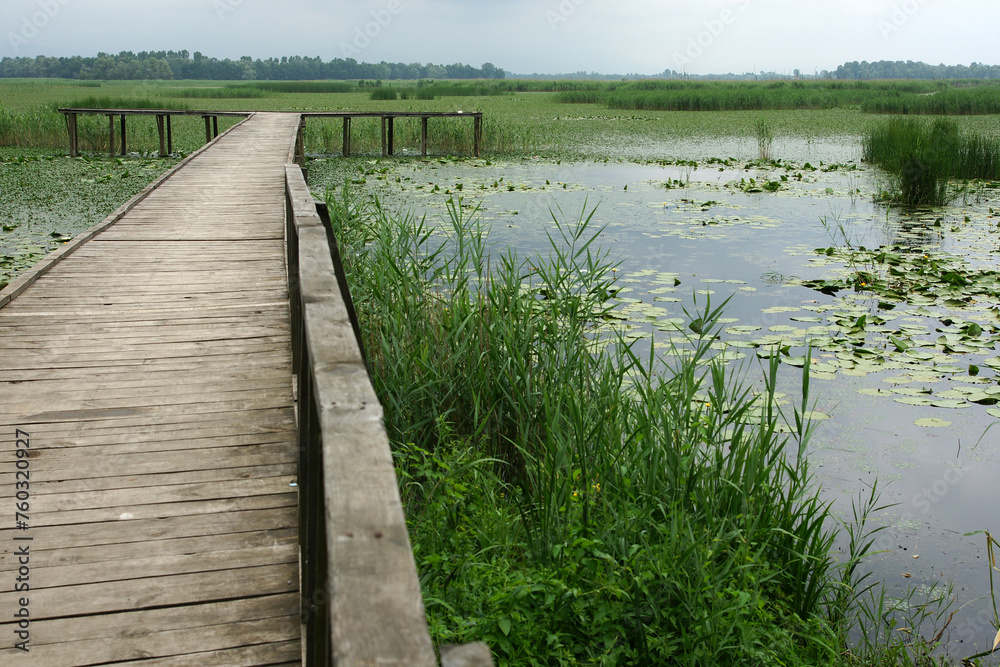 Efteni Lake in Duzce, Turkey.