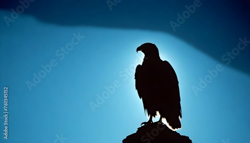 Eagle Silhouette Upscaled 130
