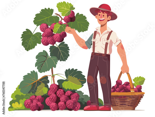  A farmer harvests juicy berries from their vine the sweet aroma filling the air as they carefully gather the bounty of summer. 